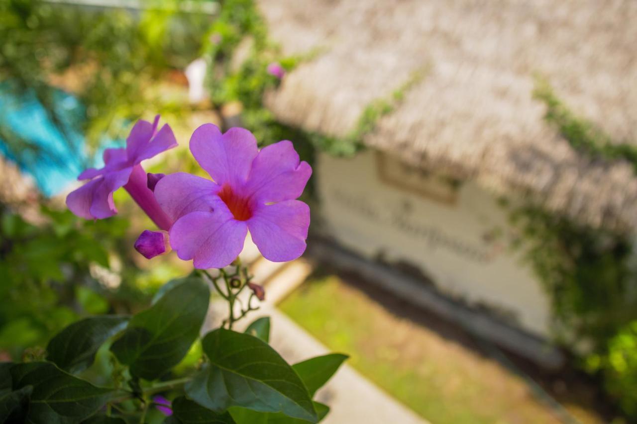 Hotel Villas Mariposas Атлиско Экстерьер фото