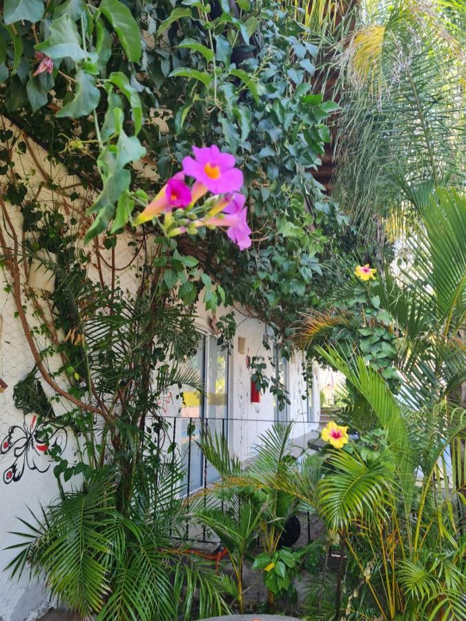 Hotel Villas Mariposas Атлиско Экстерьер фото