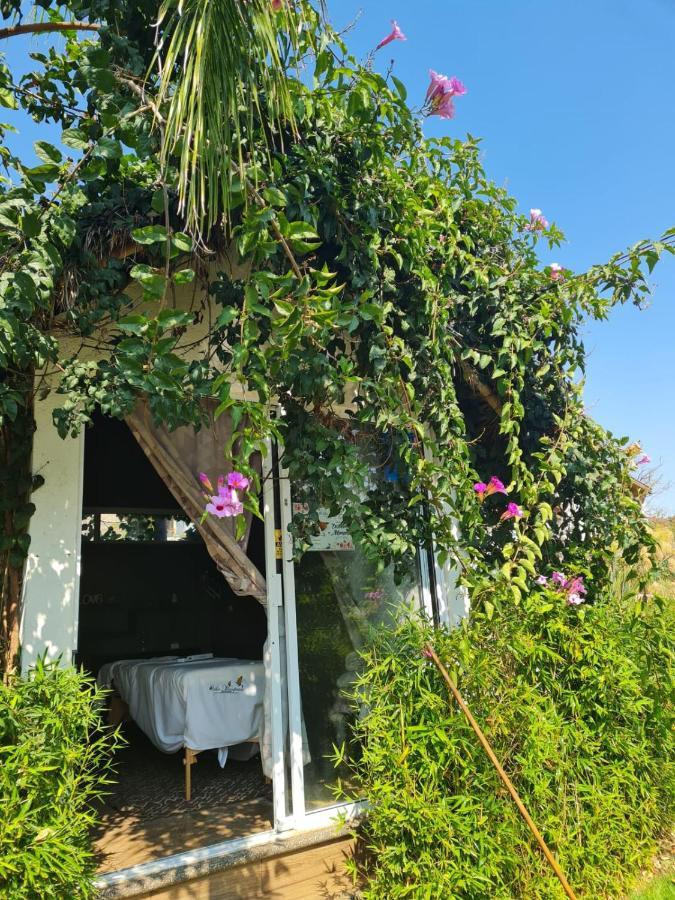 Hotel Villas Mariposas Атлиско Экстерьер фото